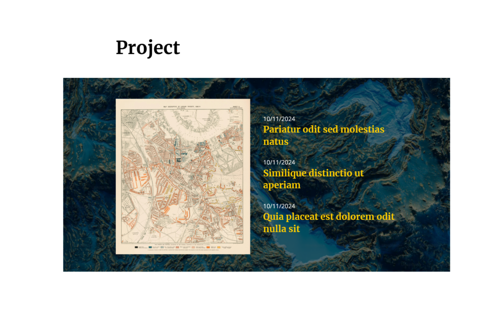 Project